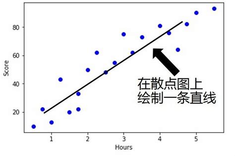 五分法|相关性 